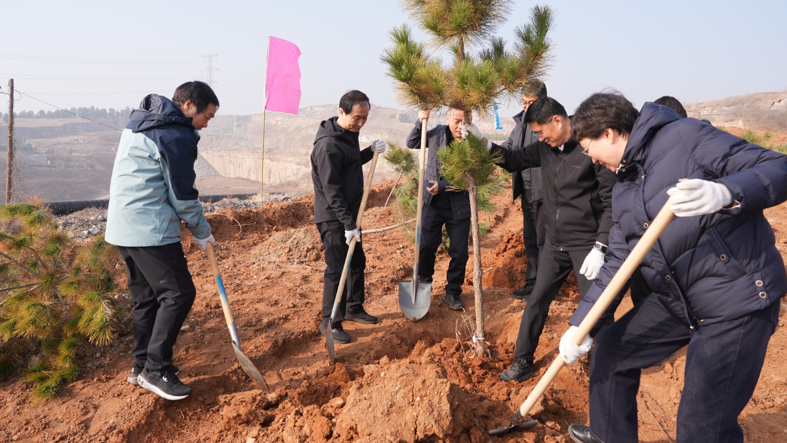 蔡华刚 康义文等区领导参加义务植树活动