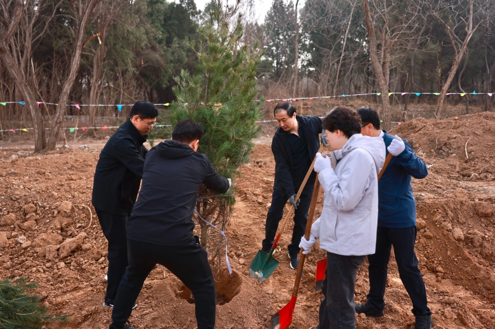 蔡华刚 康义文等区领导参加义务植树活动